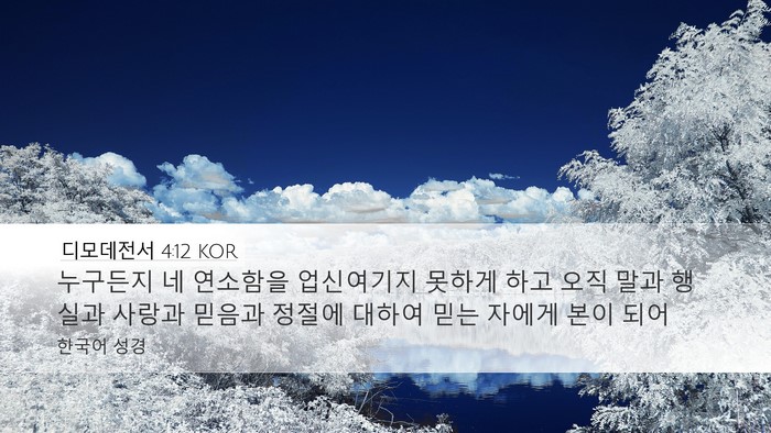 디모데전서 4:12 KOR Bible Verse Image