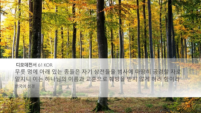 디모데전서 6:1 KOR Bible Verse Image