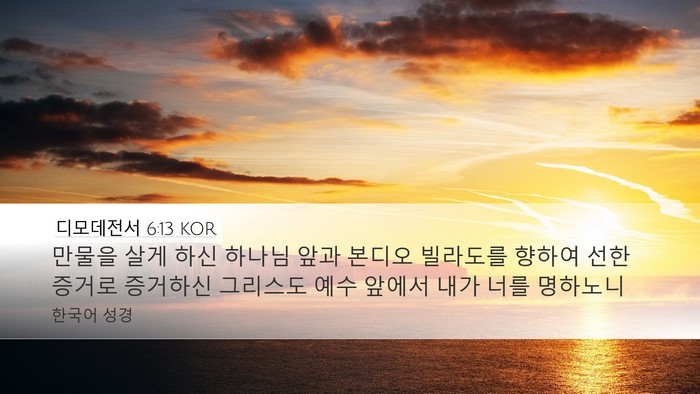 디모데전서 6:13 KOR Bible Verse Image