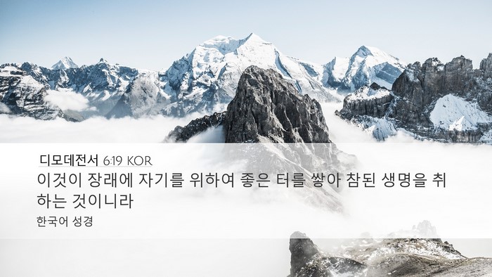 디모데전서 6:19 KOR Bible Verse Image