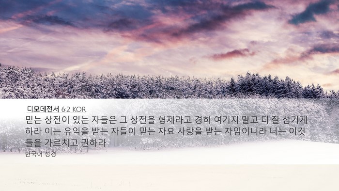 디모데전서 6:2 KOR Bible Verse Image