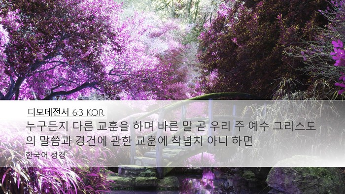 디모데전서 6:3 KOR Bible Verse Image
