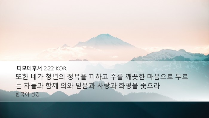 디모데후서 2:22 KOR Bible Verse Image