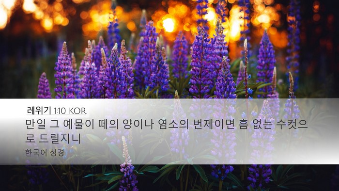 레위기 1:10 KOR Bible Verse Image