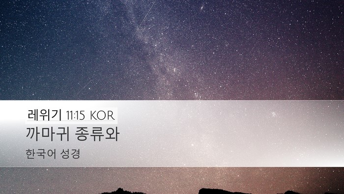 레위기 11:15 KOR Desktop Wallpaper - 까마귀 - Desktop Bible Verse Wallpaper