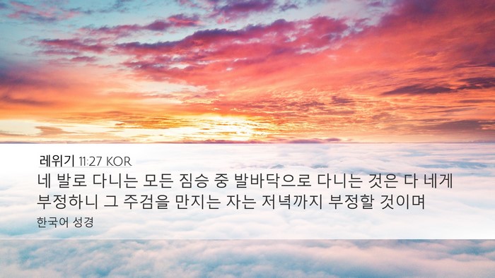 레위기 11:27 KOR Bible Verse Image