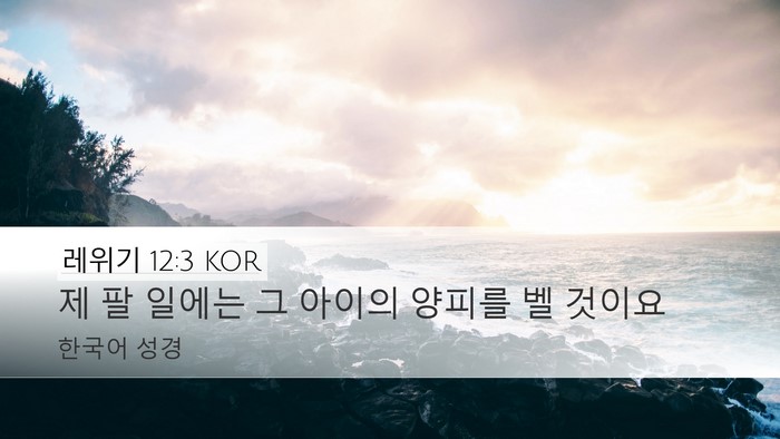 레위기 12:3 KOR Bible Verse Image