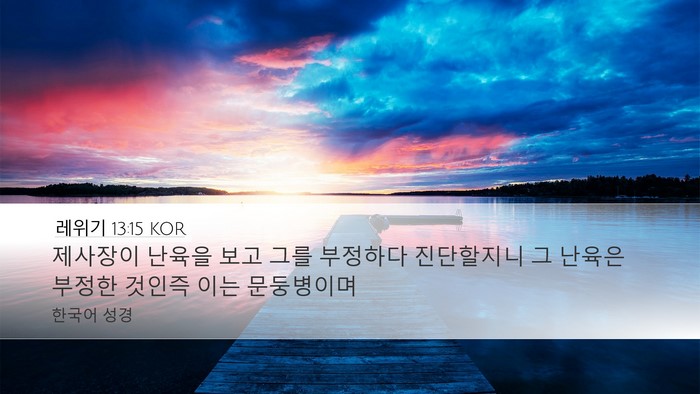 레위기 13:15 KOR Desktop Wallpaper - 제사장이 난육을 보고 그를 부정하다 - Desktop Bible Verse Wallpaper