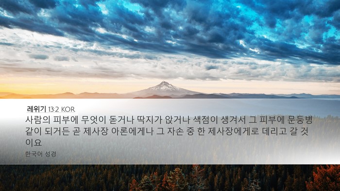 레위기 13:2 KOR Bible Verse Image