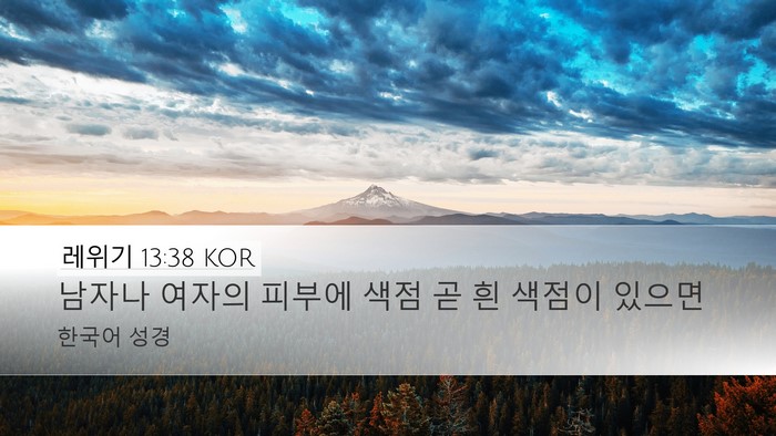 레위기 13:38 KOR Desktop Wallpaper - 남자나 여자의 피부에 색점 곧 흰 - Desktop Bible Verse Wallpaper