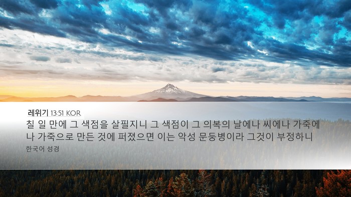 레위기 13:51 KOR Bible Verse Image