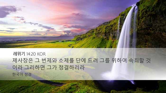 레위기 14:20 KOR Bible Verse Image