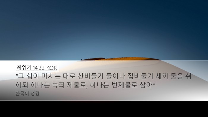 레위기 14:22 KOR Bible Verse Image
