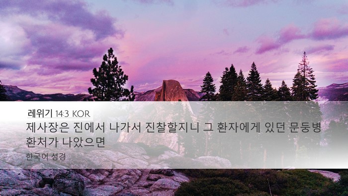 레위기 14:3 KOR Bible Verse Image