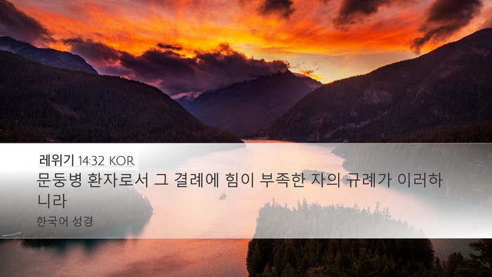 레위기 14:32 KOR Bible Verse Image