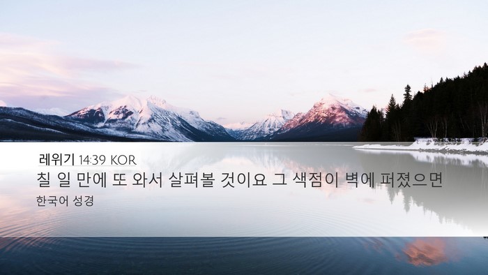레위기 14:39 KOR Desktop Wallpaper - 칠 일 만에 또 와서 살펴볼 것이요 그 - Desktop Bible Verse Wallpaper