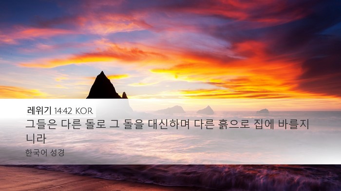 레위기 14:42 KOR Desktop Wallpaper - 그들은 다른 돌로 그 돌을 대신하며 - Desktop Bible Verse Wallpaper