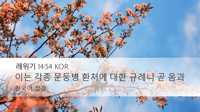 레위기 14:54 KOR Bible Verse Image