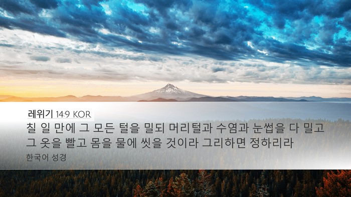 레위기 14:9 KOR Bible Verse Image