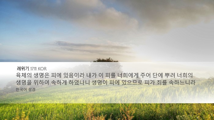 레위기 17:11 KOR Bible Verse Image