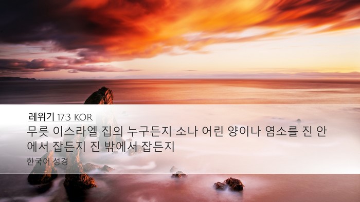레위기 17:3 KOR Desktop Wallpaper - 무릇 이스라엘 집의 누구든지 소나 - Desktop Bible Verse Wallpaper