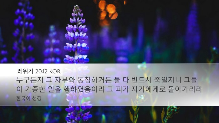 레위기 20:12 KOR Bible Verse Image