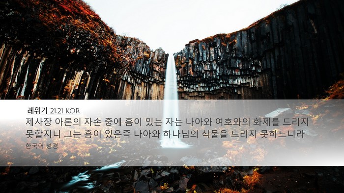레위기 21:21 KOR Bible Verse Image