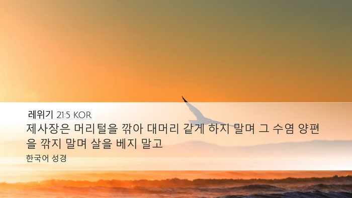 레위기 21:5 KOR Bible Verse Image