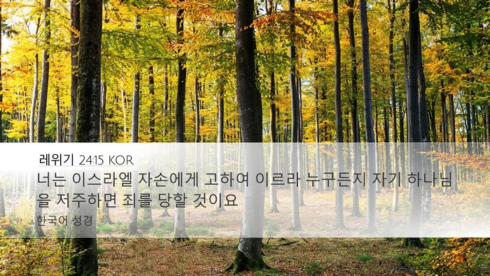 레위기 24:15 KOR Bible Verse Image
