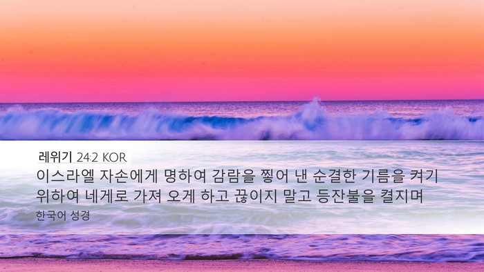 레위기 24:2 KOR Bible Verse Image