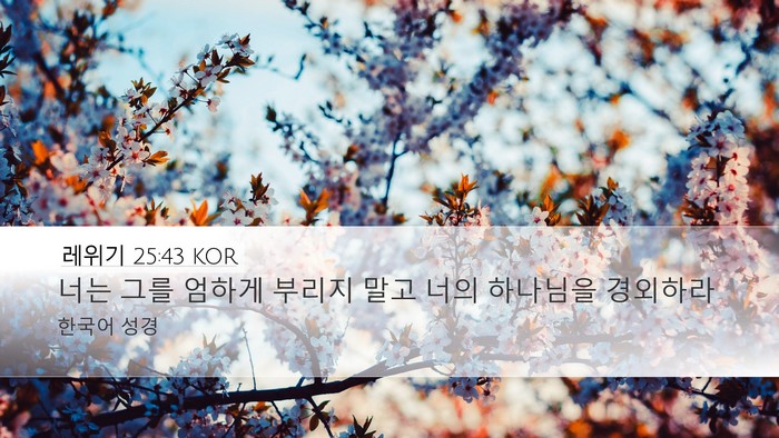 레위기 25:43 KOR Bible Verse Image