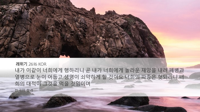 레위기 26:16 KOR Bible Verse Image