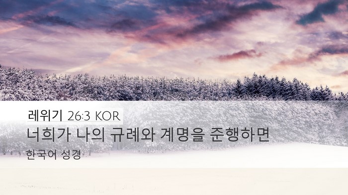 레위기 26:3 KOR Bible Verse Image