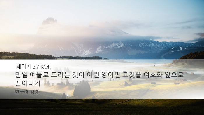 레위기 3:7 KOR Desktop Wallpaper - 만일 예물로 드리는 것이 어린 - Desktop Bible Verse Wallpaper