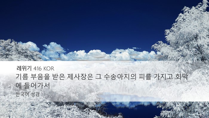 레위기 4:16 KOR Bible Verse Image
