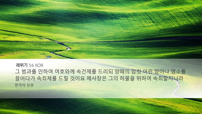 레위기 5:6 KOR Bible Verse Image