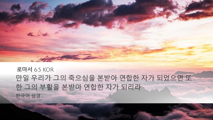 로마서 6:5 KOR Bible Verse Image