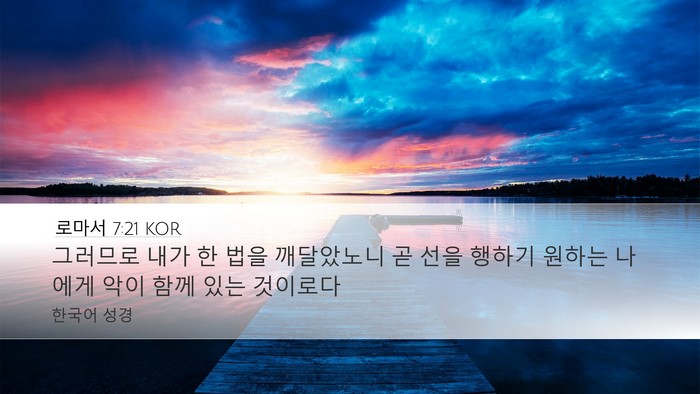 로마서 7:21 KOR Bible Verse Image