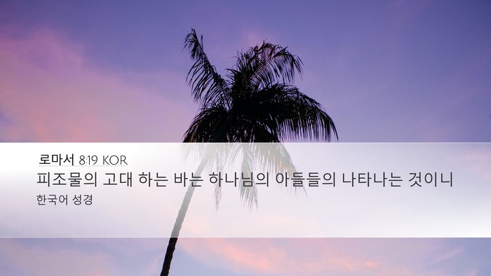 로마서 8:19 KOR Bible Verse Image