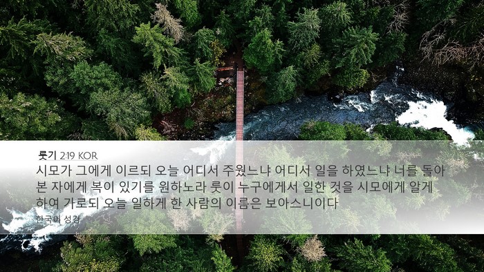 룻기 2:19 KOR Desktop Wallpaper - 시모가 그에게 이르되 오늘 어디서 - Desktop Bible Verse Wallpaper