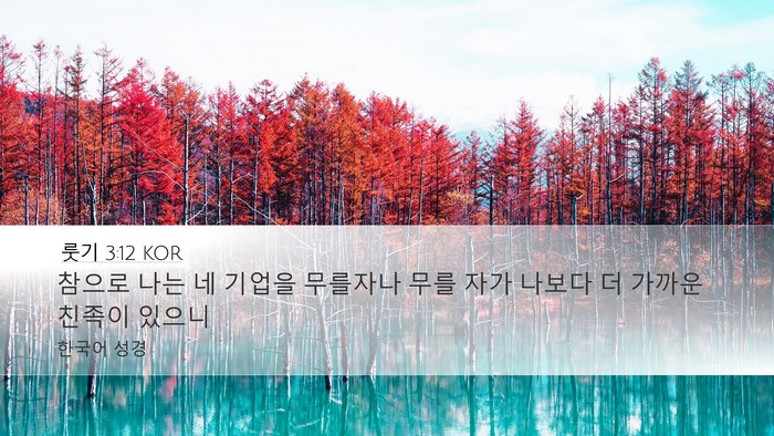 룻기 3:12 KOR Bible Verse Image