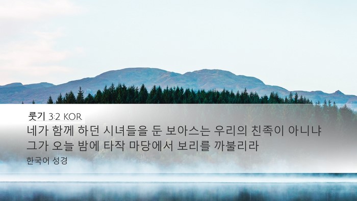 룻기 3:2 KOR Desktop Wallpaper - 네가 함께 하던 시녀들을 둔 - Desktop Bible Verse Wallpaper