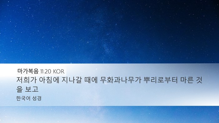 마가복음 11:20 KOR Desktop Wallpaper - 저희가 아침에 지나갈 때에 - Desktop Bible Verse Wallpaper