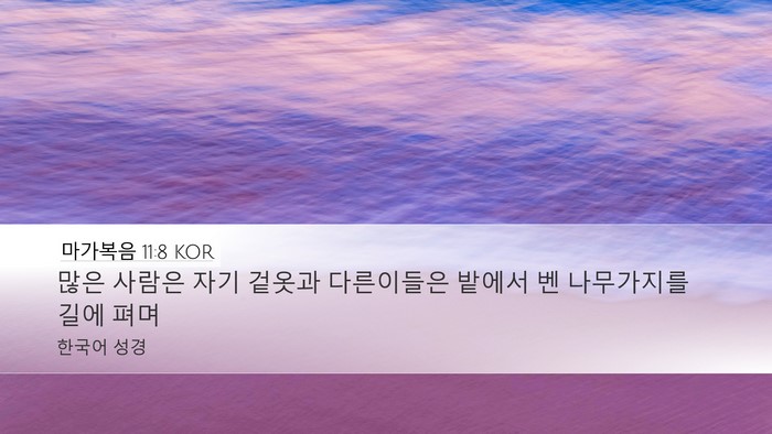 마가복음 11:8 KOR Desktop Wallpaper - 많은 사람은 자기 겉옷과 다른이들은 - Desktop Bible Verse Wallpaper
