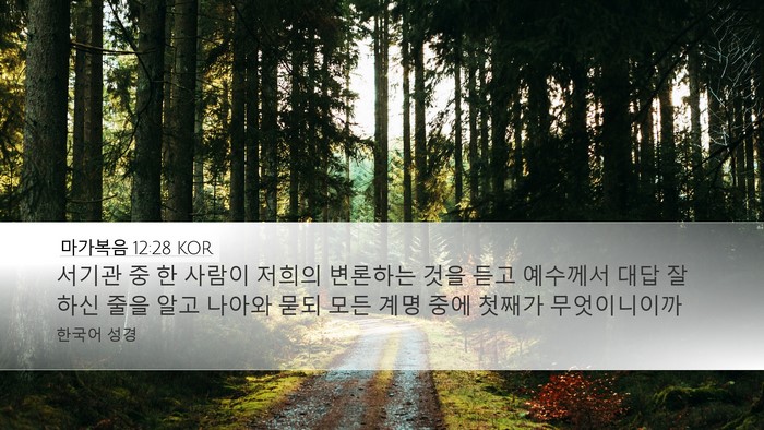 마가복음 12:28 KOR Bible Verse Image