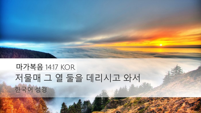 마가복음 14:17 KOR Bible Verse Image