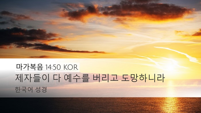 마가복음 14:50 KOR Bible Verse Image