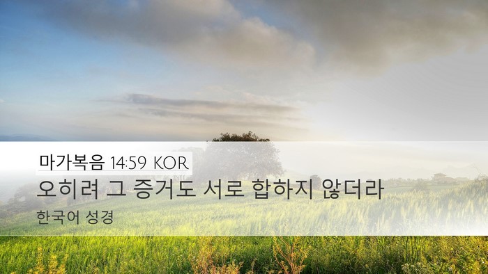 마가복음 14:59 KOR Desktop Wallpaper - 오히려 그 증거도 서로 합하지 - Desktop Bible Verse Wallpaper