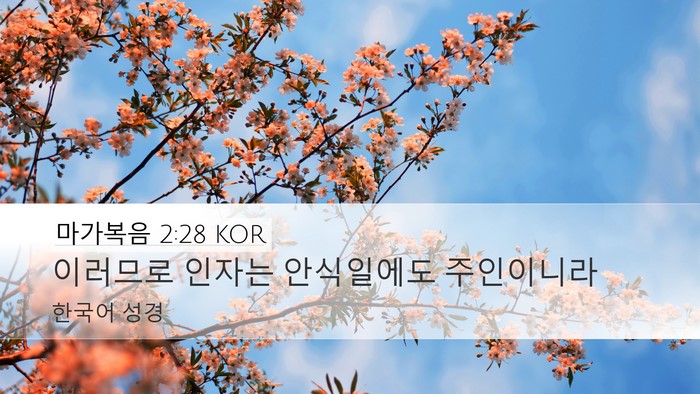 마가복음 2:28 KOR Bible Verse Image