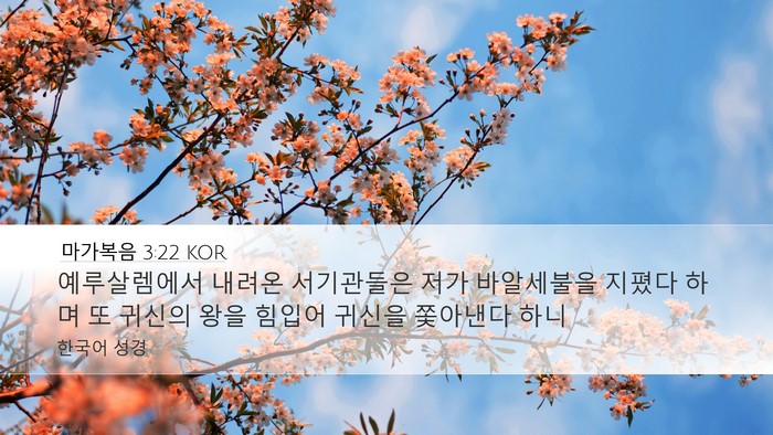 마가복음 3:22 KOR Bible Verse Image